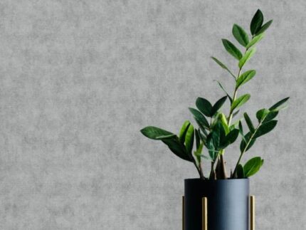 wallpaper fixing sharjah