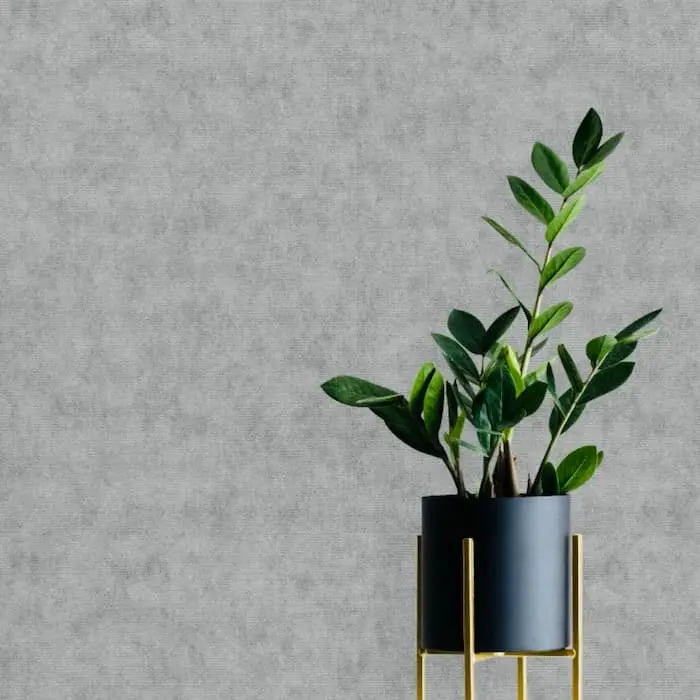 wallpaper fixing sharjah