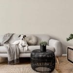 wallcovering best price