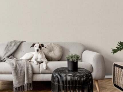 wallcovering best price