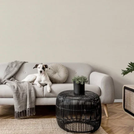 wallcovering best price