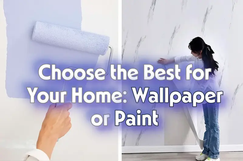 Comparison Of Wall Painting And Wallpaper Costs مقارنة أسعار طلاء الجدران و ورق الجدران