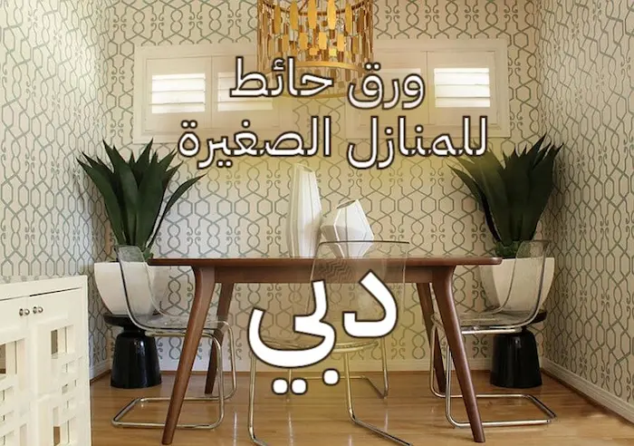 color pattern for small apartments dubai abu dhabi sharja